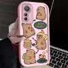 Cool Capybara Case For Xiaomi 5